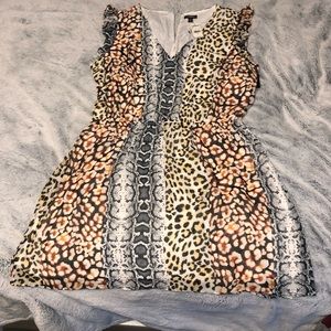 EXPRESS Dress